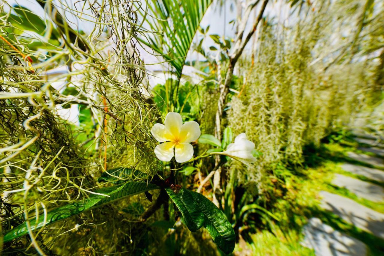 Nacpan Beach Glamping Managed By H Hospitality Group El Nido Extérieur photo